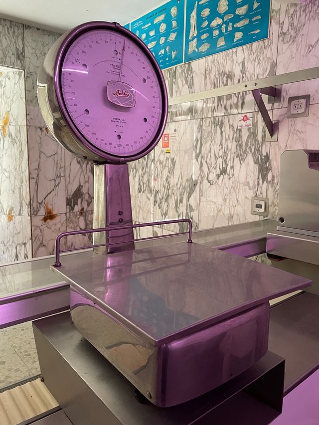 Báscula Mobba 15 kg