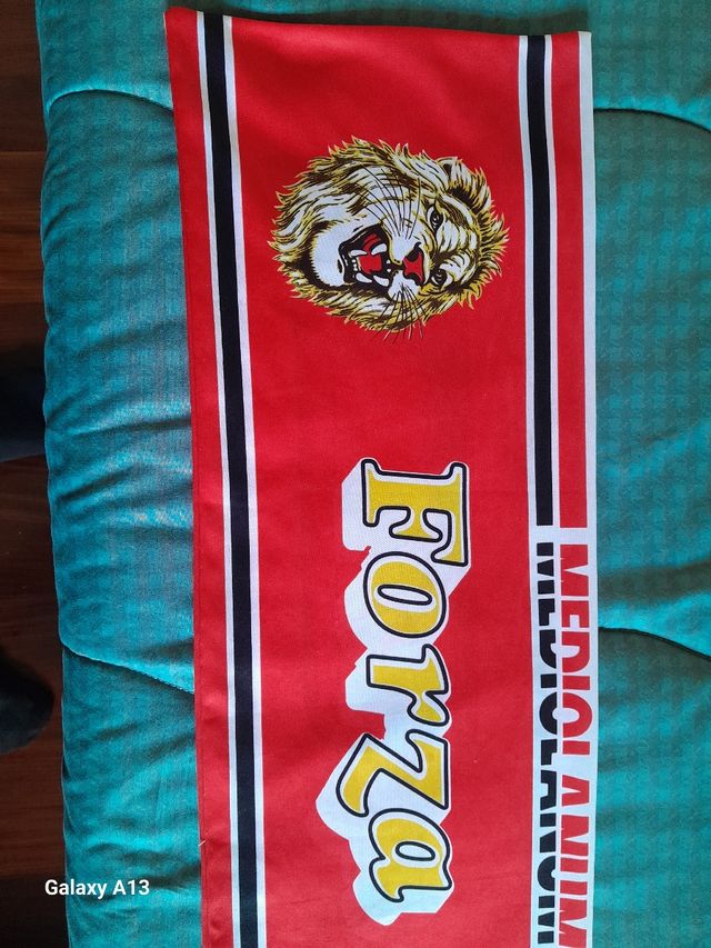 Sciarpa e disco LION Mediolanum Hockey