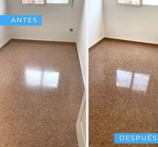 Abrillantador y pulidor suelos