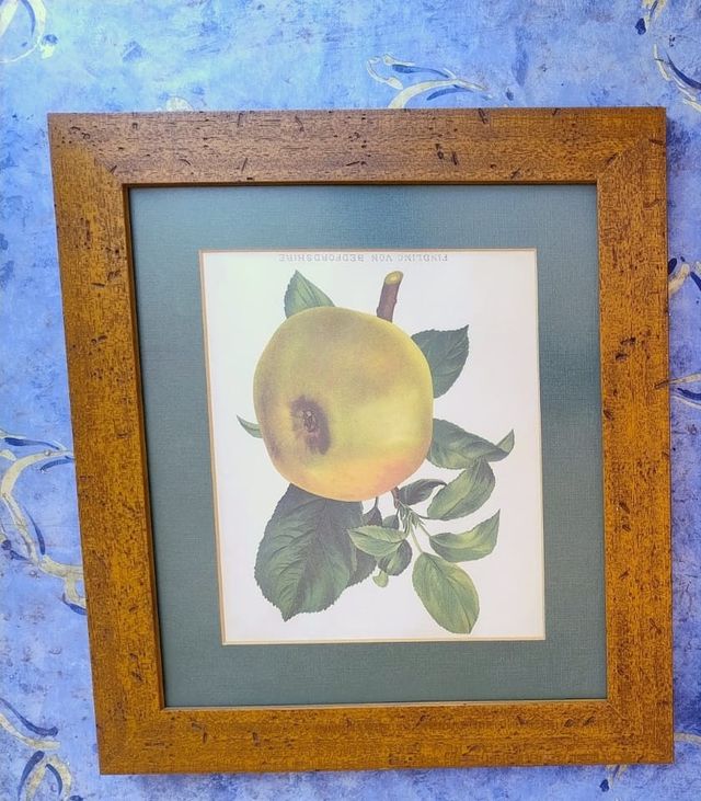 Juego de 2 cuadros motivos frutales