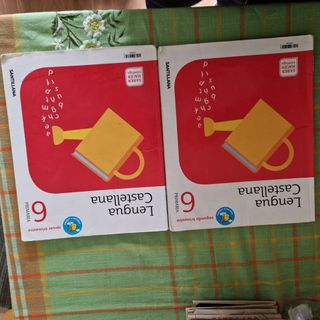 Libros santillana primaria