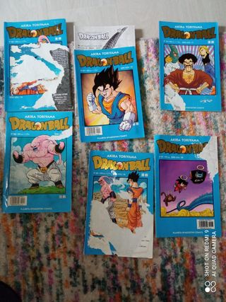 Dragon ball azul
