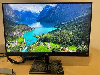 Pantalla de ordenador HP