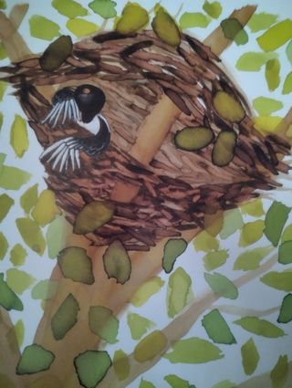 Margaret the greddy magpie