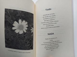 Libro "Trazos de una vida"