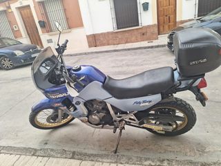 Honda translap 