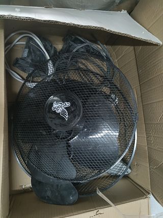 Kit cultivo indoor OFERTA