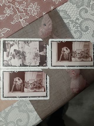 Schede telefoniche Al mio Cane