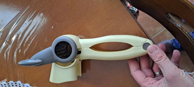 trita spezie, agli, cipolle