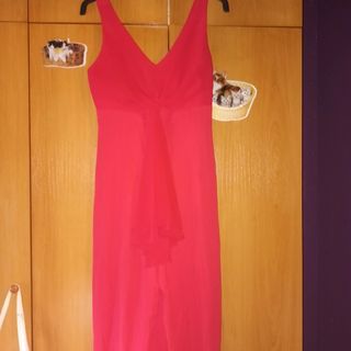 Mono rojo