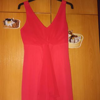 Mono rojo