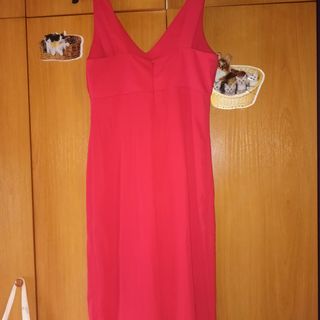 Mono rojo