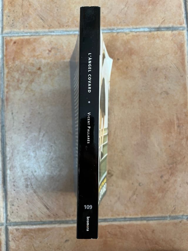 L'àngel covard - Vicent Pallarés