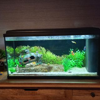 Acuario completo