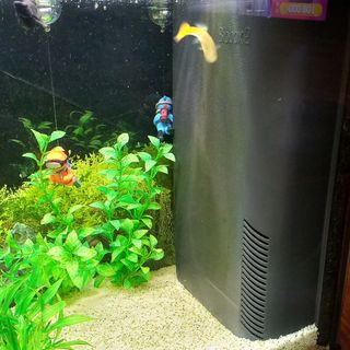 Acuario completo