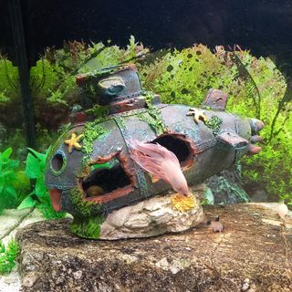 Acuario completo