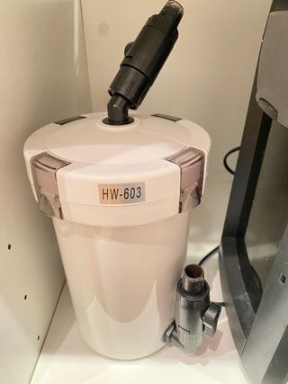 Acuario beta con mueble