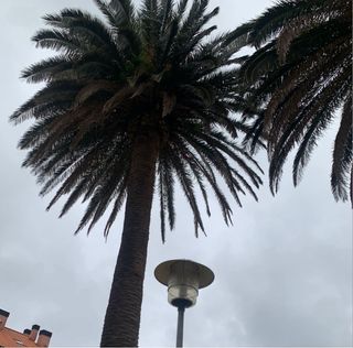 JARDINERO