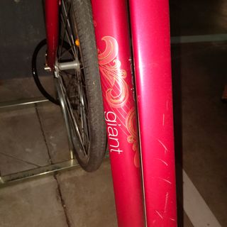 Bicicleta de paseo