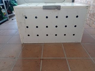 Trasportín