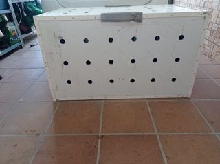 Trasportín