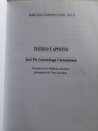Testigo y Apóstol José Pío Gurruchaga Castuariense