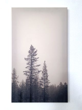 QUADRO Canvas - Stampa su Tela -cm.40 x 65