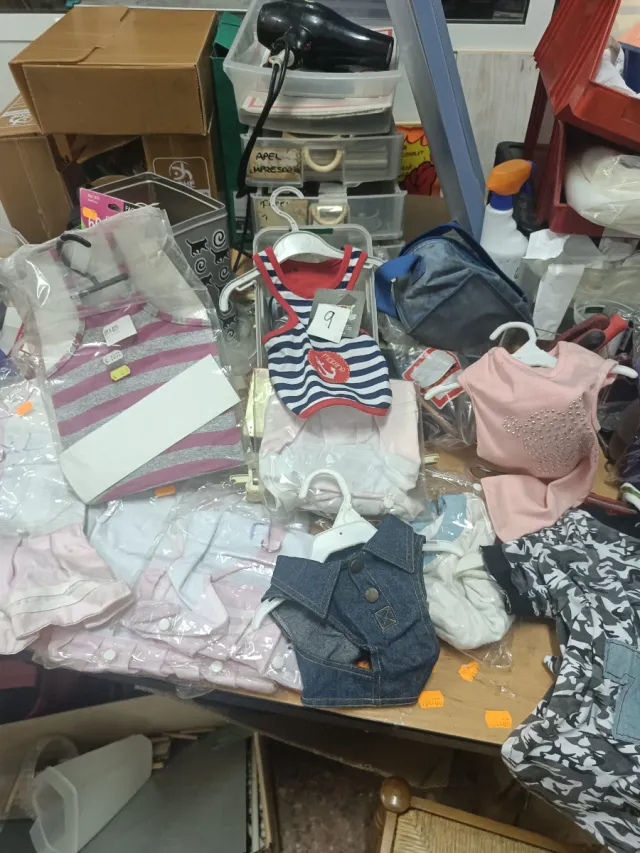 Lote vestidos perro primavera y chubasqueros.