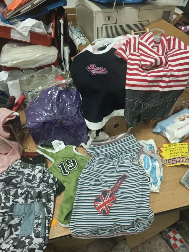 Lote vestidos perro primavera y chubasqueros.