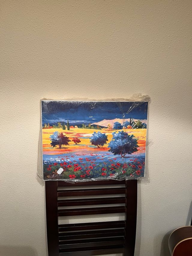 2 Laminas sobre Bastidor 30x 40 cm