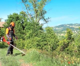 Jardínero económico limpieza de parcelas 