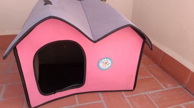 Casita perro o gato