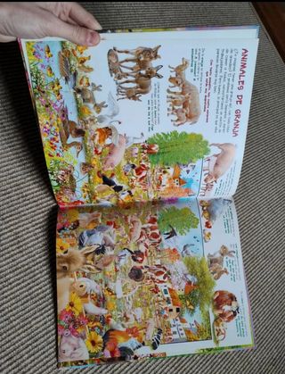 Libro Busca los animales y sus crias