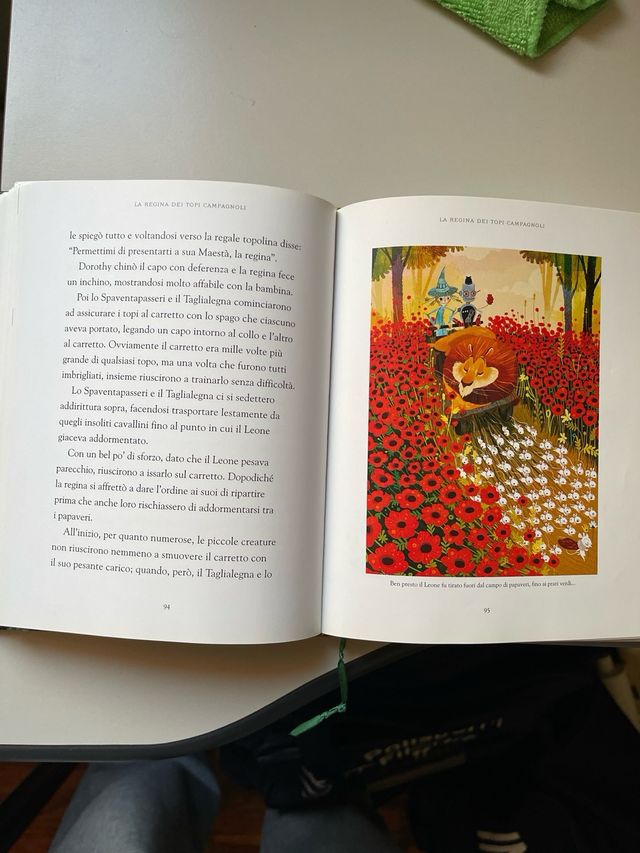 Libro IL MERAVIGLIOSO MAGO DI OZ - 9781474916578