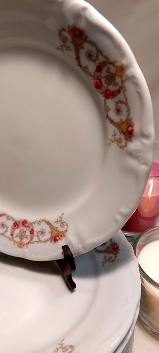 ⚜️Vajilla de Porcelana. Bavaria. Winterling.