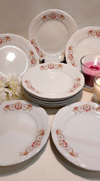 ⚜️Vajilla de Porcelana. Bavaria. Winterling.