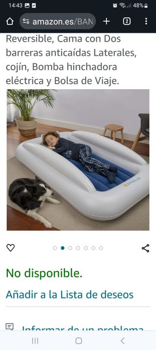 Cama hinchable para niños