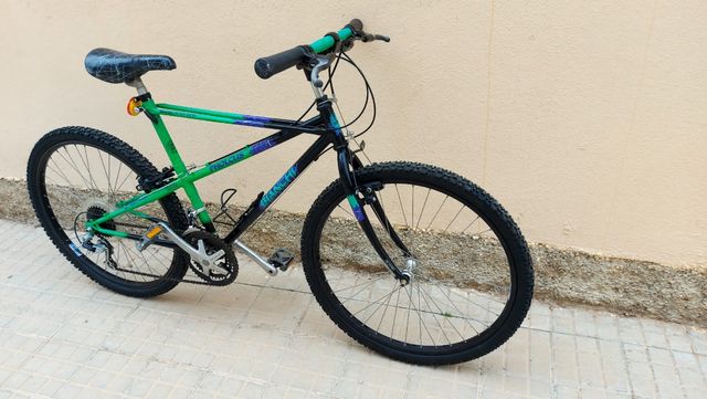 Bicicletta MTB classica