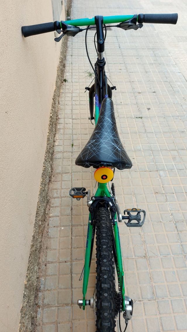 Bicicletta MTB classica