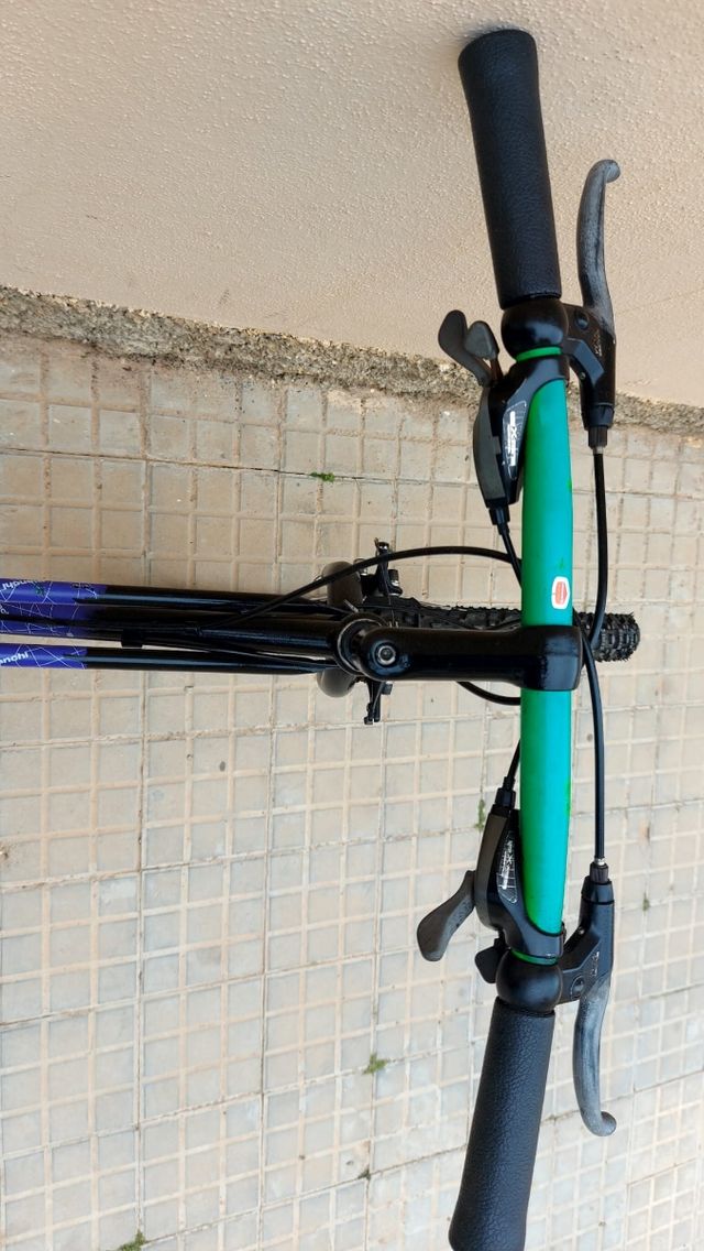 Bicicletta MTB classica