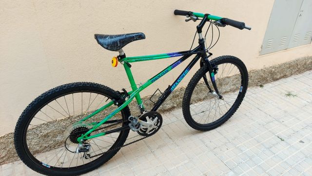 Bicicletta MTB classica