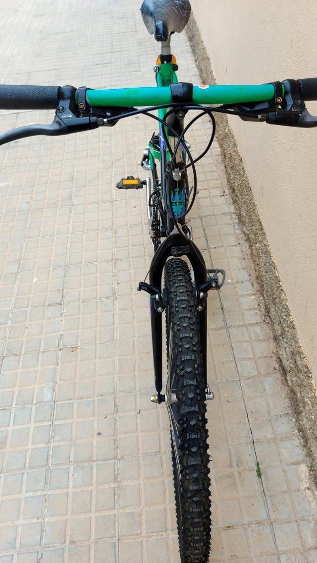 Bicicletta MTB classica