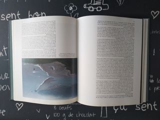 Los litorales marinos - Editorial Planeta