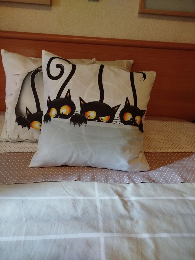 Cojines de gatos