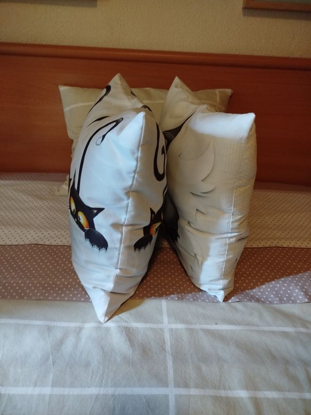 Cojines de gatos