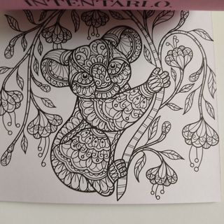 2 libros para colorear adultos