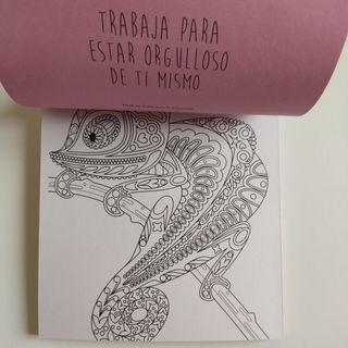 2 libros para colorear adultos