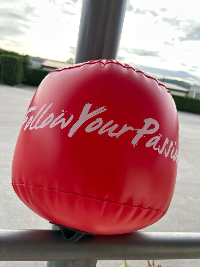 Boa per nuoto acque libere