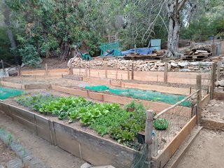Mant. del hogar, manitas, carpintería, jardinería