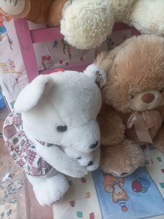 Peluches de ositos son 5 peluches
